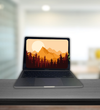 MacBook Pro A1398 2015( i7/16GB/256/512GB/Mac OS Sierra/15.4")(Pre-Owned)